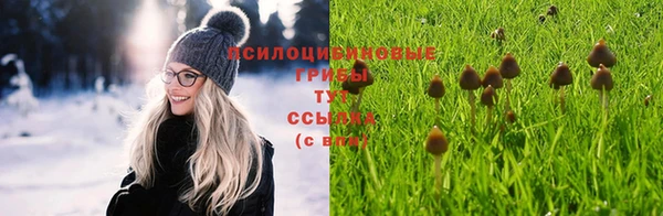а пвп мука Арсеньев